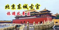 一级大黑屄在线中国北京-东城古宫旅游风景区